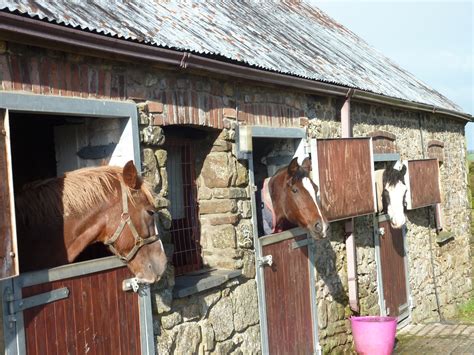 Horse establishment .